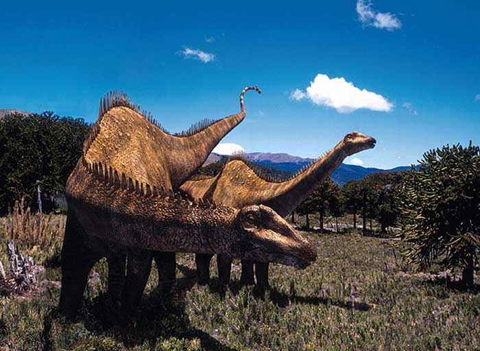 diplodocus_04
