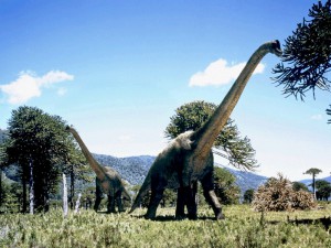 brachiosaurus.jpg