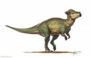 pachycephalosaurus.jpg