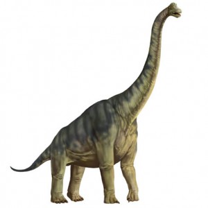 brachiosaurus.jpg