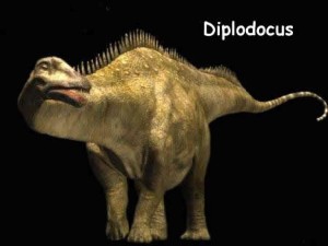 diplodocus.jpg