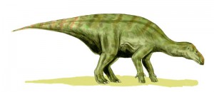 iguanodon_bw.jpg