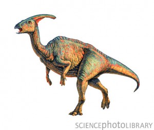 e4460506-parasaurolophus_dinosaur-spl.jpg