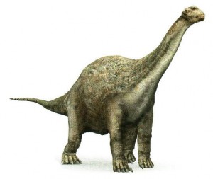 camarasaurus.jpg